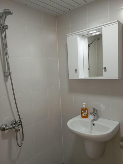 Gradina Apartment Montana Extérieur photo